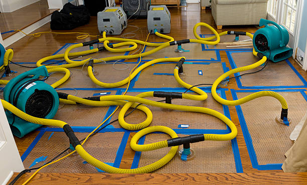 Professional Crawl Space Water Removal technician working in Houghton Lake Heights, MI